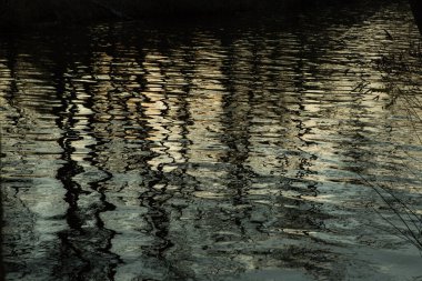 Çıplak ağaçların siluetleri nehrin su yüzeyine yansıyor. Sonbaharda. Çok kasvetli ve bulutlu bir hava.