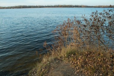 Bulutlu gökyüzü ile sonbahar nehir orman manzarası. Toz. Sonbaharın sonu.