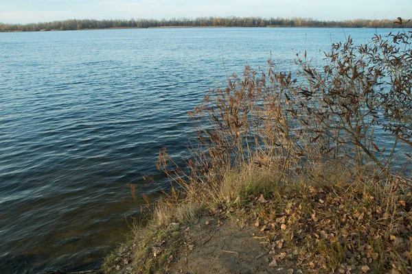 Bulutlu gökyüzü ile sonbahar nehir orman manzarası. Toz. Sonbaharın sonu.