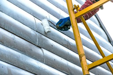 Duvarı minderle boyayan bir işçinin eli. Binanın dış duvarının boyanması, beyaz boyayla yenilenmesi. Beyaz arka planda boya silindiri tutan bir erkek.