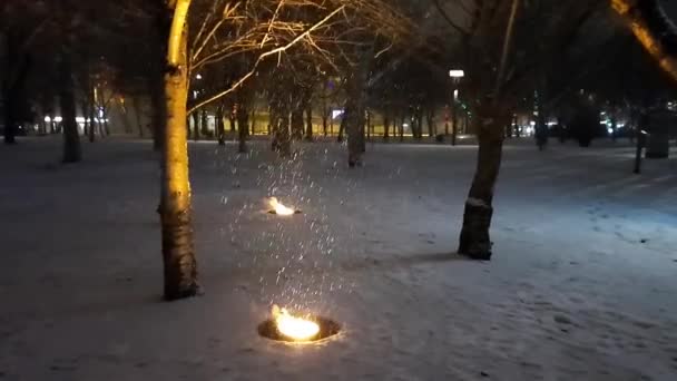 Heavy Snowfall City Park Christmas Snow Night Light Steam Emanating — Stockvideo