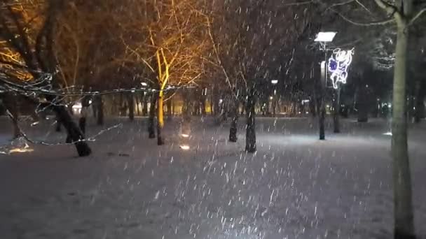 圣诞节前 公园里下着大雪 夜光下的雪 蒸汽是从人行道上铺满雪的灯光中发出来的 — 图库视频影像