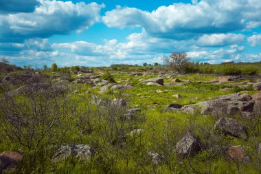 Büyük yeşil-sarı bir tarladaki eski taşlar olağanüstü güzel mavi bir gökyüzüne karşı. Ukrayna ovasının manzarası.