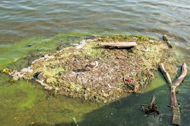 Dinyeper nehrinin ekolojik sorunları. Yeni kurulan endüstriyel atık ve çöp adası.