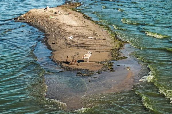 ドニエプル川の生態学的問題 産業廃棄物 ゴミの新島 — ストック写真