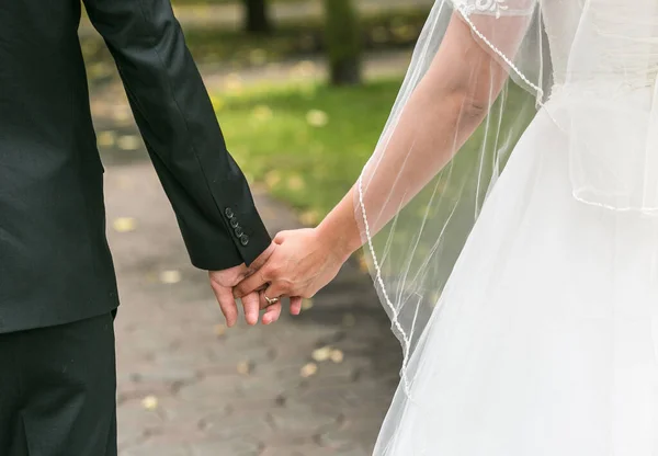 Het Beeld Van Een Bruid Bruidegom Die Elkaars Hand Vasthouden — Stockfoto