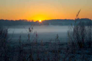 Gün batımında bir tarlada kuru çimenler. Doğa.