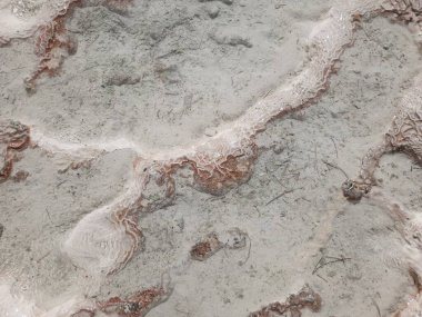 Travertin yüzeyinin dokusuna sahip arka plan - beyaz kireçtaşının üzerindeki kırmızı mineral çizgisi - deniz tabanındaki mercan gibi. Pamukkale Ulusal Parkı, Türkiye.