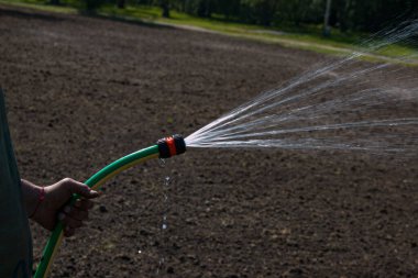 Bahçedeki bitkileri sulamak için hortum tutan adam. Güçlü bir jet, temiz bir su akıntısı, bitkileri hedef alan bir çim damlası. Yazın bahçe bakımı. Su hortumunu yeşil zemine yakın tut.