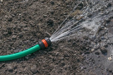 Bahçedeki bitkileri sulamak için hortum. Güçlü bir jet, temiz bir su akıntısı, bitkilere, çimenlere doğru düşer. Yaz bahçesi bakımı. Yeşil arka planda bir su hortumunun yakın plan görüntüsü.