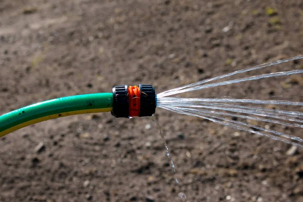 Hose Watering Plants Garden Powerful Jet Stream Clean Water Drops — Stock Photo, Image