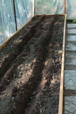 Seradaki yüksek yatağın üzerindeki toprak bitki tohumları ekmeye hazır..