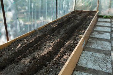 Seradaki yüksek yatağın üzerindeki toprak bitki tohumları ekmeye hazır..