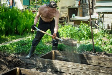 Yetişkin bir adam, kişisel bir komploda yüksek yataklar yapar. Efendi, yatağın ahşap çerçevesine kürekle bereketli toprak döker..