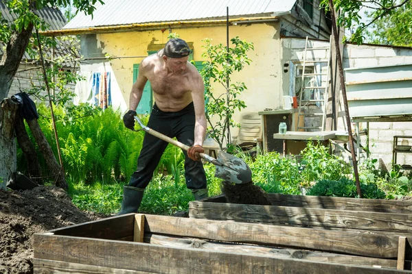 Yetişkin bir adam, kişisel bir komploda yüksek yataklar yapar. Efendi, yatağın ahşap çerçevesine kürekle bereketli toprak döker..