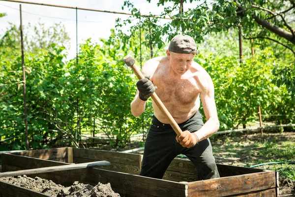 Yetişkin bir adam, kişisel bir komploda yüksek yataklar yapar. Sanatçı, yapının tahtalarını ayarlamak için tahta bir çekiçle çalışıyor..