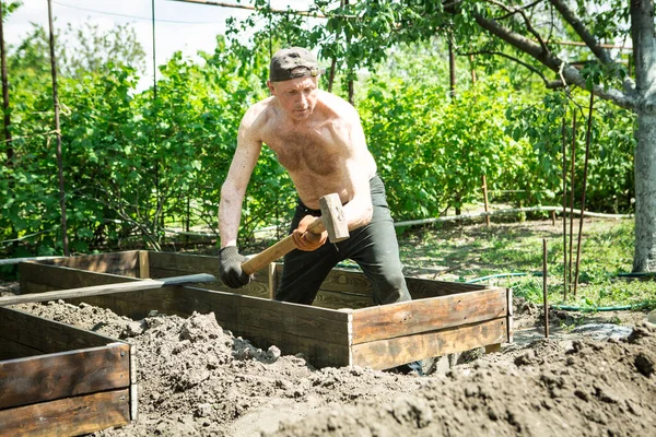 Yetişkin bir adam, kişisel bir komploda yüksek yataklar yapar. Sanatçı, yapının tahtalarını ayarlamak için tahta bir çekiçle çalışıyor..