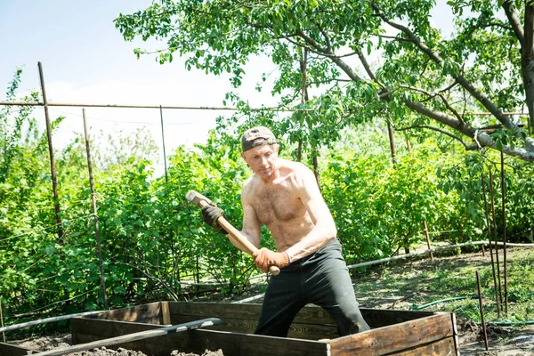 Yetişkin bir adam, kişisel bir komploda yüksek yataklar yapar. Sanatçı, yapının tahtalarını ayarlamak için tahta bir çekiçle çalışıyor..