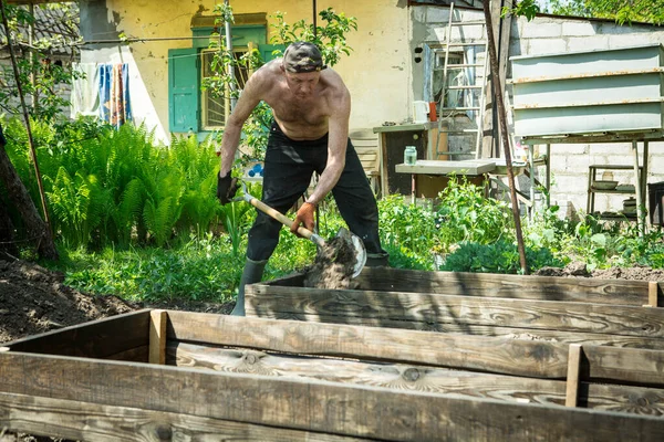 Yetişkin bir adam, kişisel bir komploda yüksek yataklar yapar. Efendi, yatağın ahşap çerçevesine kürekle bereketli toprak döker..