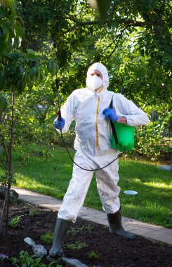 Bitkileri böcek ilacı ile tedavi etme süreci. Koruyucu takım elbiseli ve maskeli bir çiftçi sırtına polen makinesi takmış, ağaçlara böcek ilacı sıkıyor..