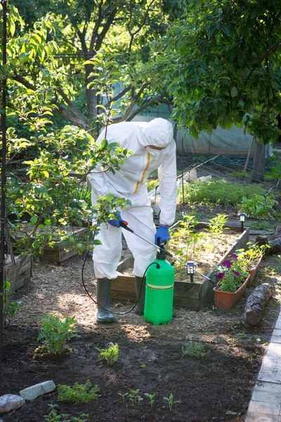 The process of treating plants with pesticides. A farmer in a protective suit and mask prepares a pollinator for work.
