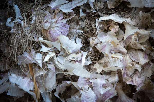 Ξεφλουδισμένο Δέρμα Σκόρδου Απορρίμματα Τροφίμων Έννοια Της Σωστής Συλλογής Απορριμμάτων — Φωτογραφία Αρχείου