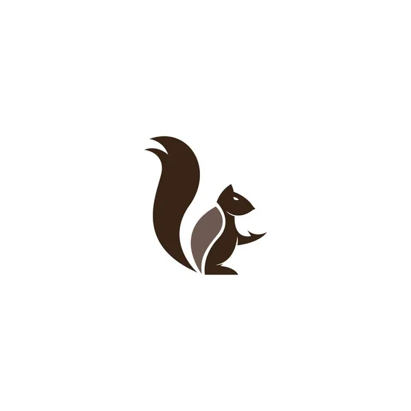 Шаблон Векторной Иконки Логотипа Белки — стоковый вектор