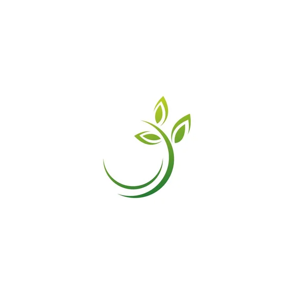 Folha Verde Vetor Modelo Logotipo Ícone Folha Natural — Vetor de Stock