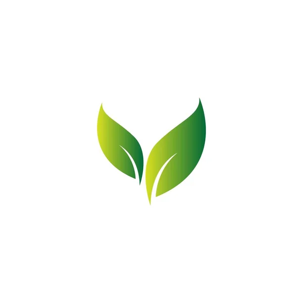 Zöld Levél Természetes Levél Ikon Logó Design Sablon Vektor — Stock Vector