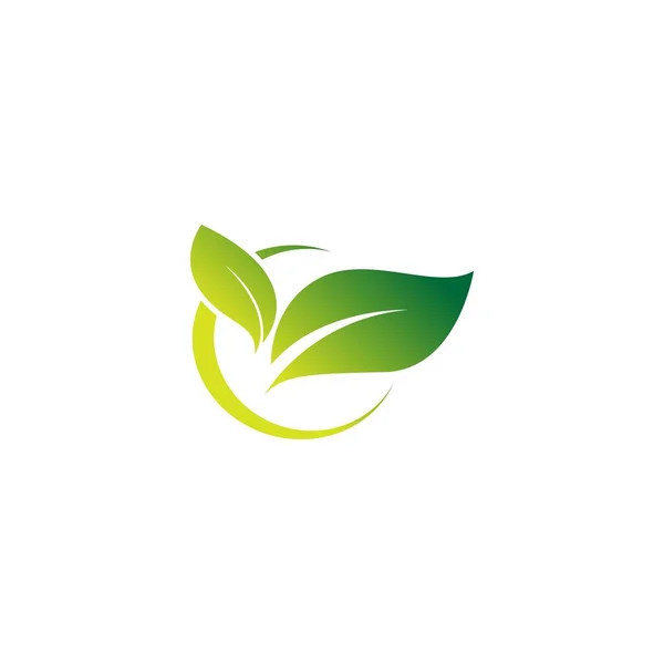 Feuille Verte Modèle Conception Logo Icône Feuille Naturelle Vecteur — Image vectorielle