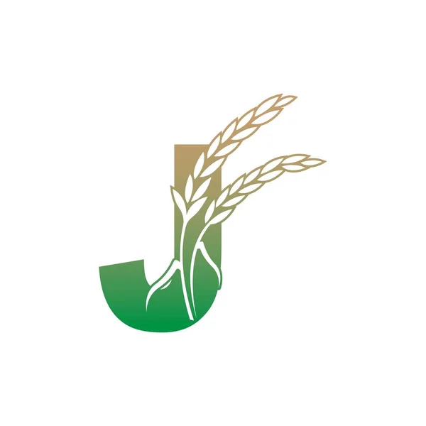 Letter Rice Plant Icon Illustration Template Vector — Stock Vector