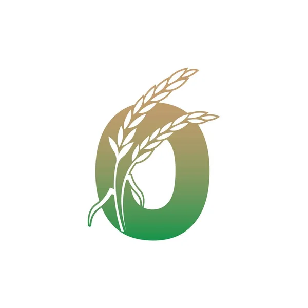 Буква Изображением Иконки Рисового Растения Вектор Шаблона — стоковый вектор