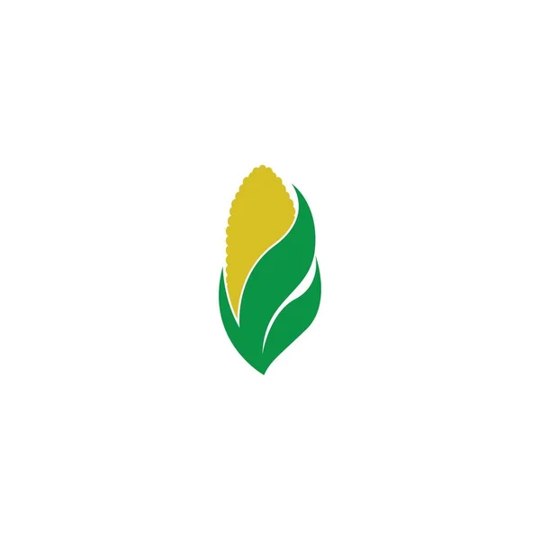Tatlı Mısır Ikonu Logo Tasarımı Örnekleme Şablonu — Stok Vektör