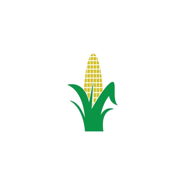 Süße Mais Ikone Logo Design Illustration Vorlage — Stockvektor