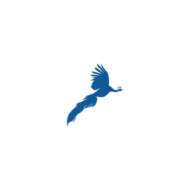 Tavuskuşu simgesi logo çizim şablonu