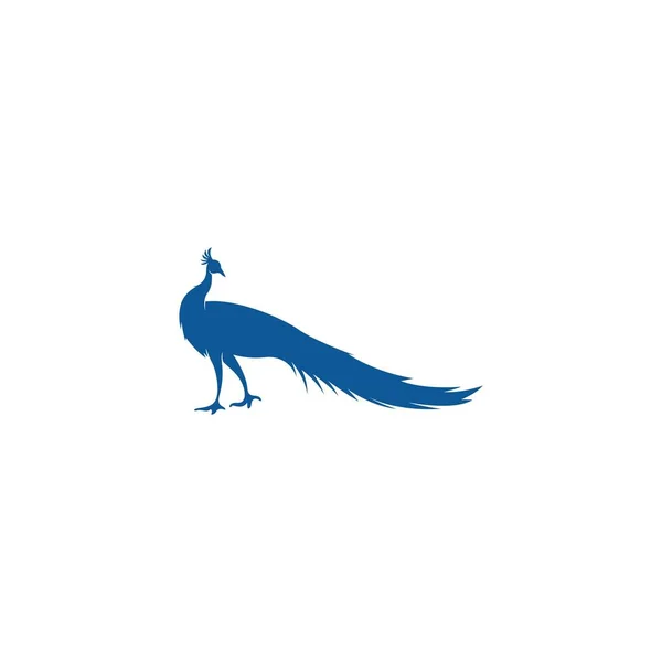 Šablona Designu Loga Ikon Peacock — Stockový vektor