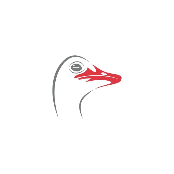 Struisvogelpictogram Ontwerp Illustratie Sjabloon — Stockvector