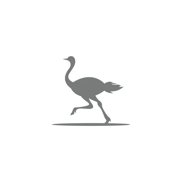 Modèle Illustration Logo Icône Autruche — Image vectorielle