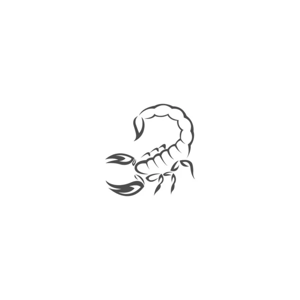 Scorpion Pictogram Logo Ontwerp Illustratie Vector — Stockvector