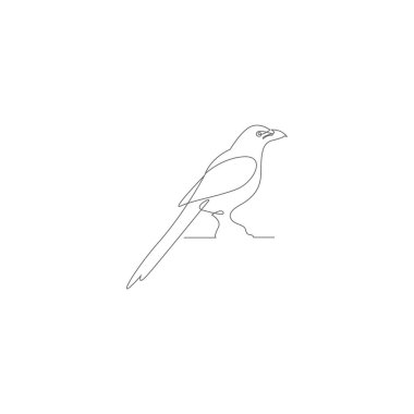 Magpie logo resim tasarım vektörü