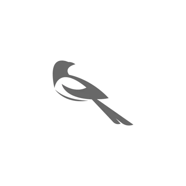 Ekster Logo Pictogram Illustratie Ontwerp Vector — Stockvector