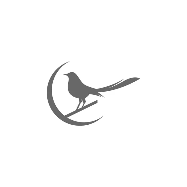 Magpie Logo Ikon Illustration Design Vektor — Stock vektor