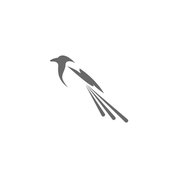 Magpie Logo Icono Ilustración Diseño Vector — Vector de stock