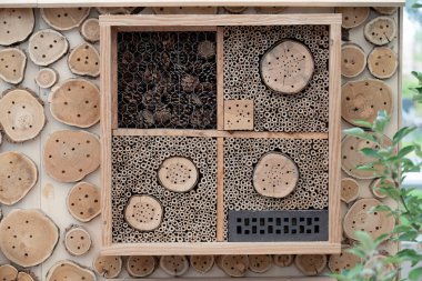 Pencerelerde görülen biber çeşitliliğinde sarı, kırmızı ve turuncu biber çeşitleri vardı. Yüksek kalite fotoğraf