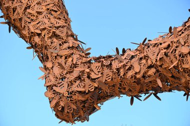 Pencerelerde görülen biber çeşitliliğinde sarı, kırmızı ve turuncu biber çeşitleri vardı. Yüksek kalite fotoğraf