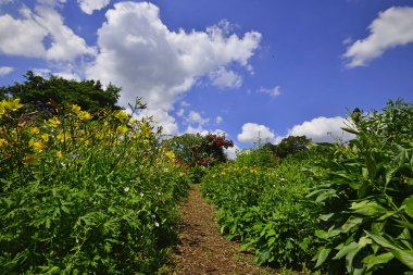 Gruga parkı Essen Almanya. Yüksek kalite fotoğraf