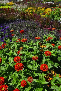 Gruga parkı Essen Almanya. Yüksek kalite fotoğraf