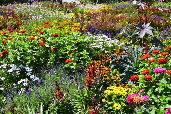 Gruga parkı Essen Almanya. Yüksek kalite fotoğraf