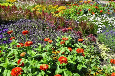 Gruga parkı Essen Almanya. Yüksek kalite fotoğraf
