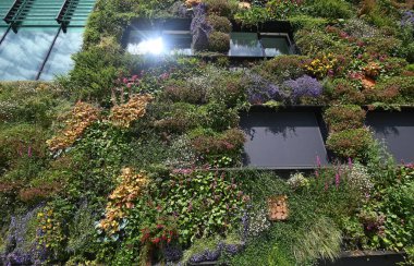 Almere, Hollanda - 17 Haziran 2022: şehrin yaşamasına izin verin. Yüksek kalite fotoğraf